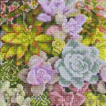 DIAMOND DOTZ® Succulents in Bloom Special Edition Diamond Painting Kit